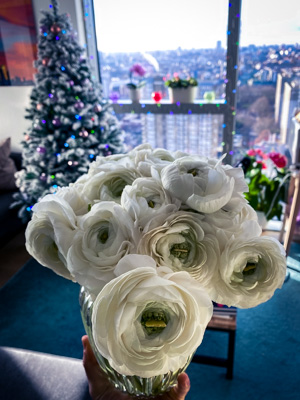 Christmas!